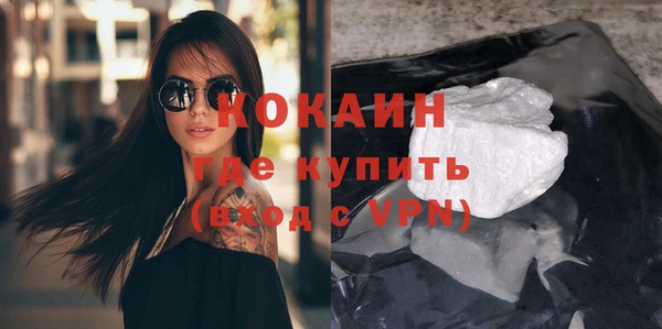 spice Богородицк