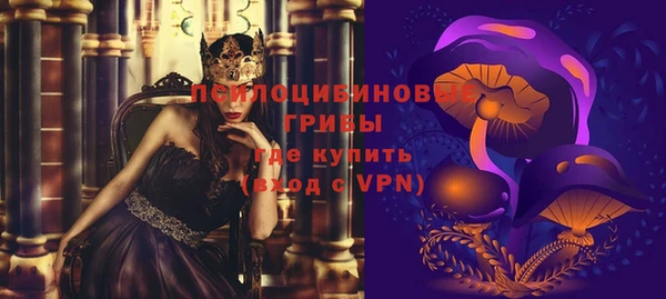 spice Богородицк