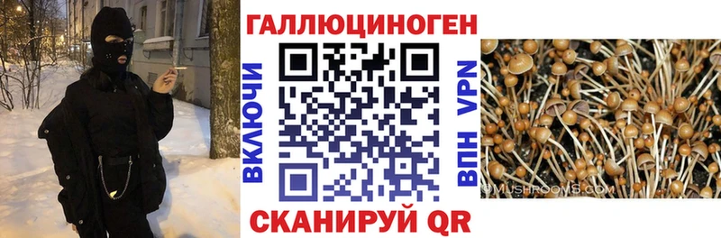 Псилоцибиновые грибы GOLDEN TEACHER  сколько стоит  Тихвин 